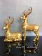 14.8 Chinese antiques Pure copper Gold plated Lucky Deer Statue A pair