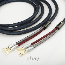 2.5m Pair VIBORG PRIME SP/1 Speaker cable VS701G Pure Copper Gold plated spade